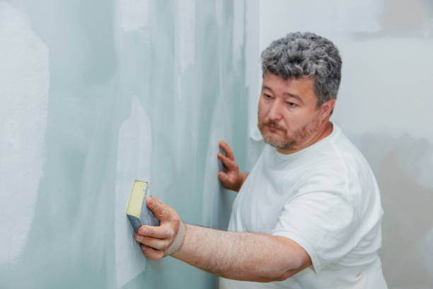 Best Mold Documentation for Insurance Claims  in East Williston, NY