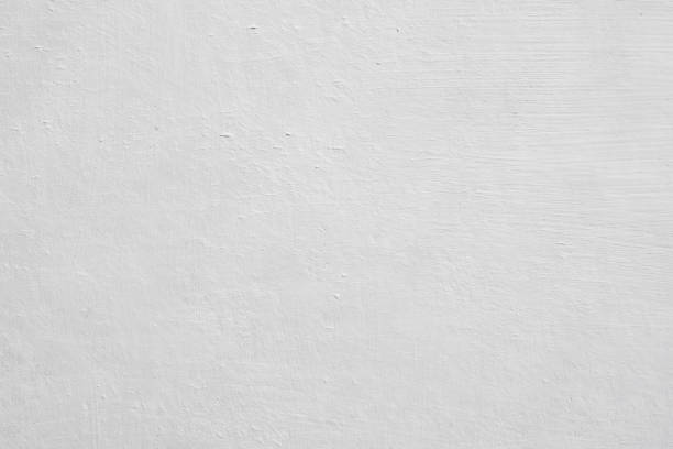Best Mold Removal for HVAC Installations  in East Williston, NY